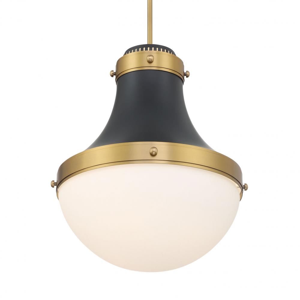 PURELIGHT - 1 LIGHT PENDANT
