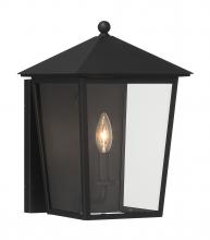 Minka-Lavery 72131-66 - NOBLE HILL- 1 LIGHT OUTDOOR WALL MOUNT