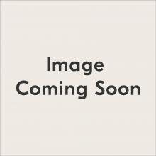 Troy Orange F6323-TBK/PN - Raef Pendant