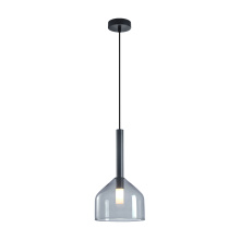 Artcraft AC11951BK - Pendant