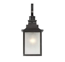 Savoy House 5-259-25 - Monte Grande 3-Light Outdoor Wall Lantern in Slate