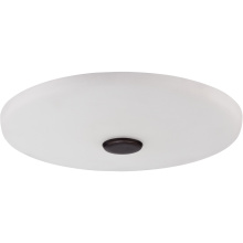Craftmade LK104-ESP-LED - Low Profile Cased Frost White w/1x22w LED