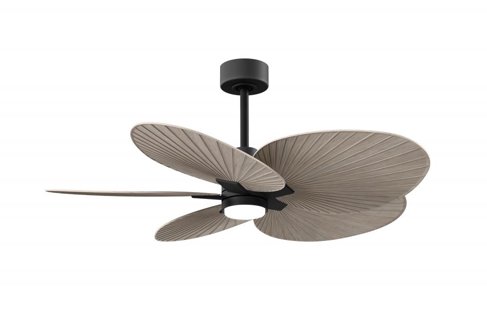 Alessandra Tropical - Five Blade Ceiling Fan - 5CCT Integrated LED - Matte Black Finish