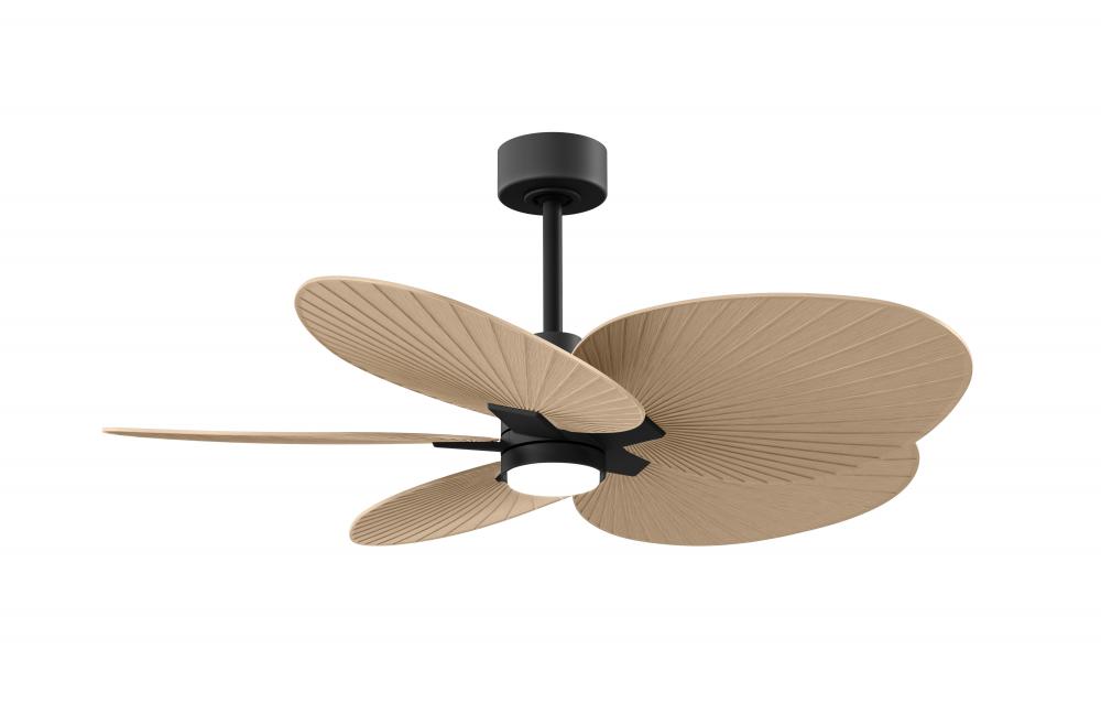 Alessandra Tropical - Five Blade Ceiling Fan - 5CCT Integrated LED - Matte Black Finish