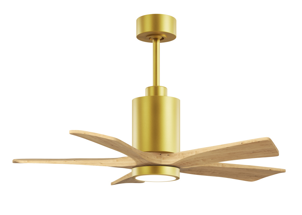 Patricia - 5 - 42" Five Blade Ceiling Fan - 5CCT Integrated LED - Brushed Brass Finish