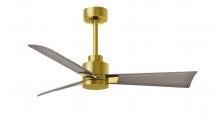 Matthews Fan Company AK-BRBR-GA-42 - Alessandra - 42" Three Blade Transitional Ceiling Fan - Brushed Brass Finish