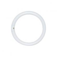 Satco Products Inc. S6507 - 30 Watt; T9; Circline Fluorescent; 3000K; Soft White; 82 CRI; 4-Pin base
