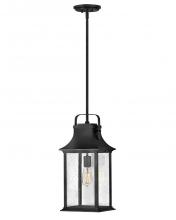 Hinkley Merchant 2392TK - Medium Hanging Lantern