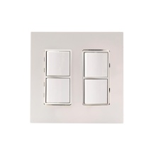 Eurofase EFDWPS - DUAL DUPLEX,PLATE AND BOX,SS
