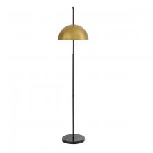 Floor Lamps